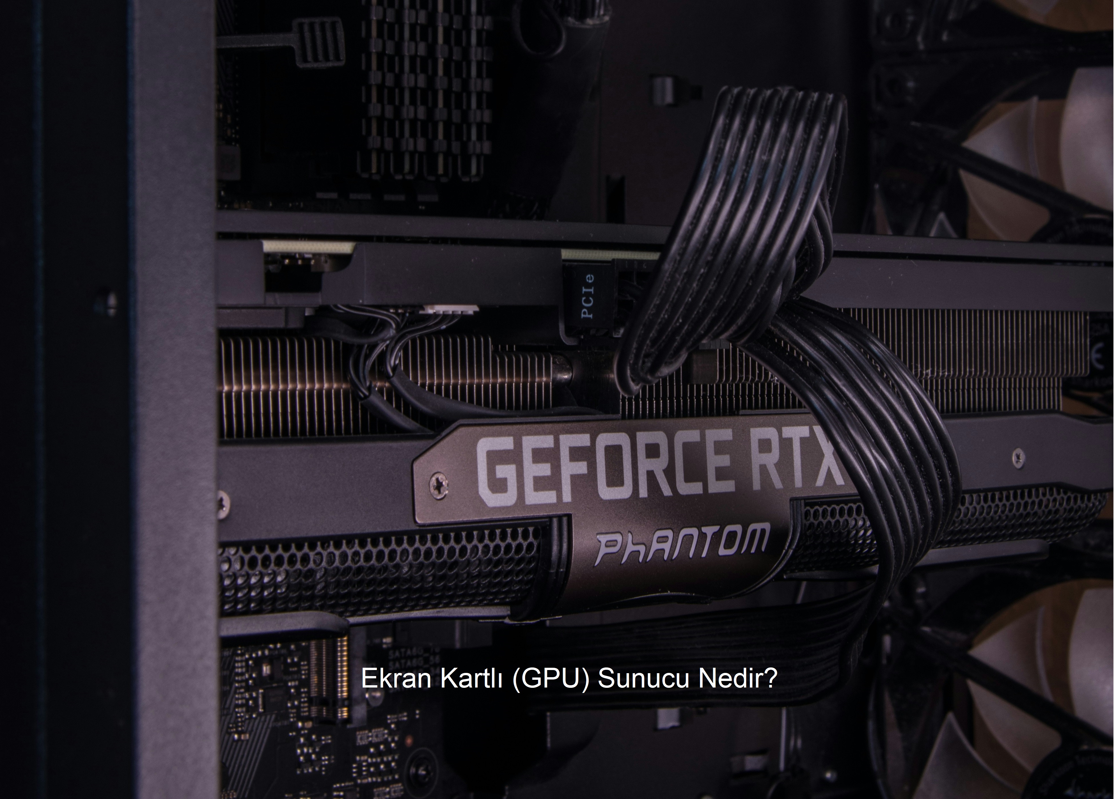 Ekran Kartlı (GPU) Fiziksel Sunucu Nedir - Dedicated GPU Sunucu